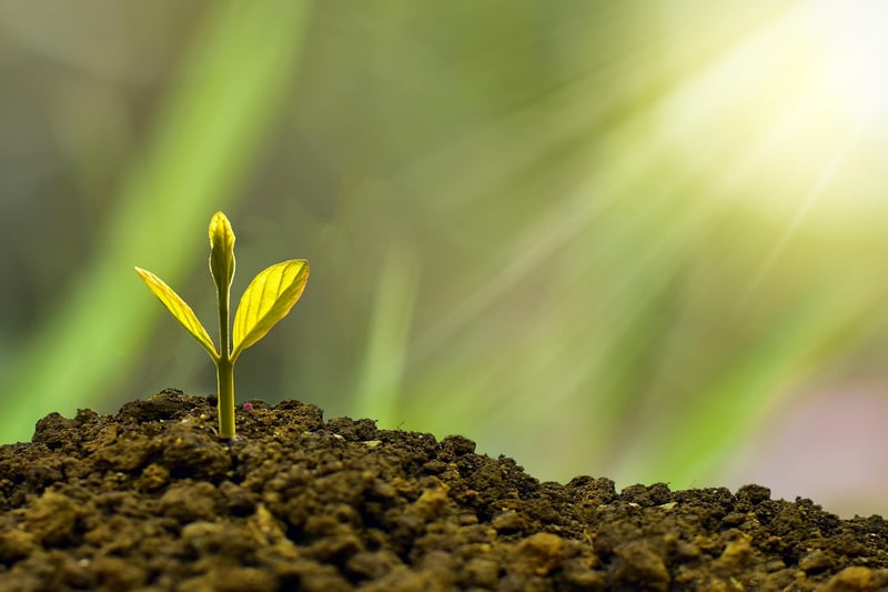 Sustainability Hacks